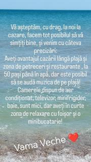 Vila Cristi Vama Veche - 8