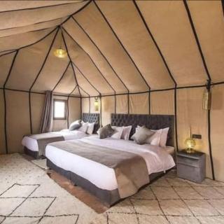 Fancy Golden Luxury Camp - 2