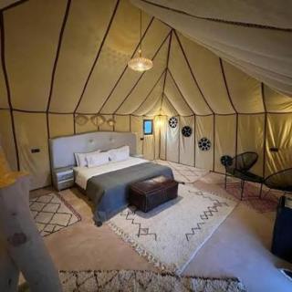 Fancy Golden Luxury Camp - 1