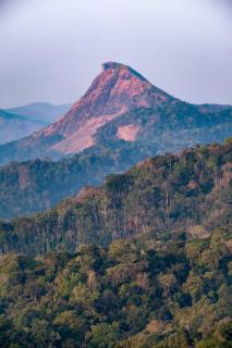 Grace Inn Homestay Munnar - 7