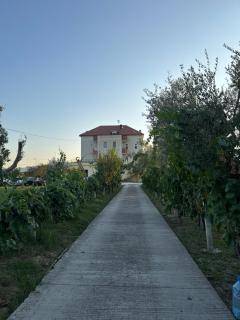 Villa Gjana - 1