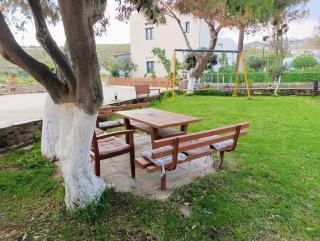 Villa Anna Andros - 6