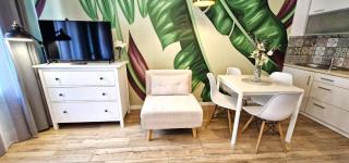 Cozy modern STUDIO GREEN APARTMENT in Old Town - 3