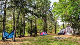 Ouachita Campground at Edendell -  - 9