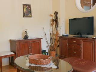 Luxury Lakeside Apartment Cardak - 4