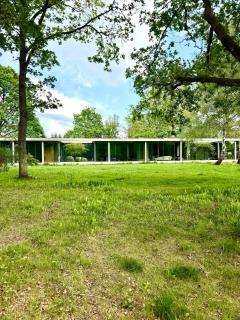 3 Bedroom Modern Glass House, Nature Scape - 8