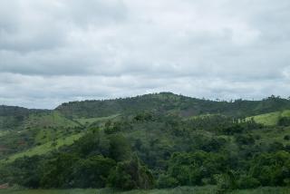 Peçanha Grande Hotel - 5