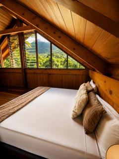 Cape Tribulation Getaway - 3