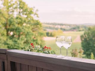 Cozy Bayerwald 1003, Weitblick & Natur - 7