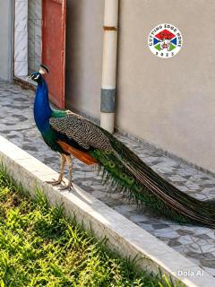 Cutting Edge Guest House - 1