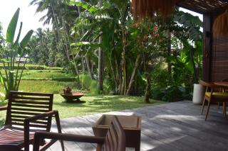 Ubud-Villa 2bdr-Pool-Jungle River & Rice field - 4