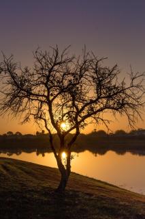 Suaimhneas - Kissimmee - 7