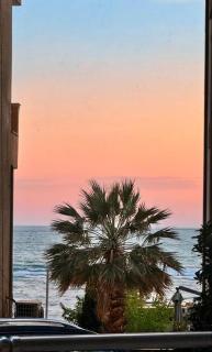 PALM Hotel & Apartments - 0