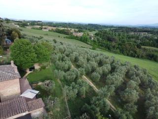 Agriturismo panoramico a Siena Al Chiaro di Luna - 5