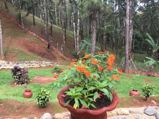 La Canelita at Cerro Azul Panama - 1