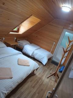 Bujtina Albjoni - 8