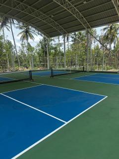 Sky Holiday Homestay Cottages Madikeri Kushalnagar Coorg - 8