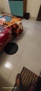 Entire 2 BHK Ground Floor Property - 5