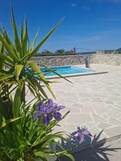 Vila Rogač - 1
