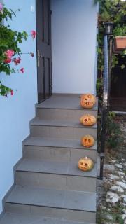 Blue House - 9