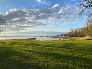 Idyllic accommodation in the middle of Öland - 6