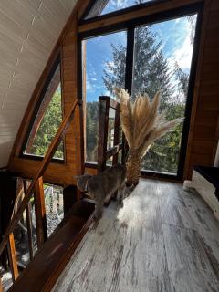 Апартаменти Smereka - 1