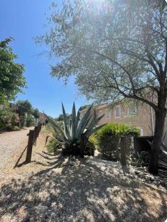 Maison avec jardin - 1