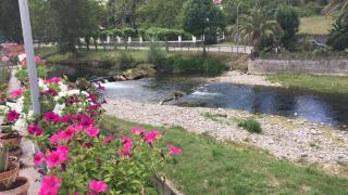 La Granjita del río - 7