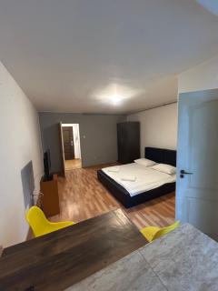Take Ionescu 1 Room Apartament - 4