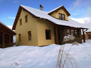 Apartmán u Kovářů - Kašperské Hory - 1