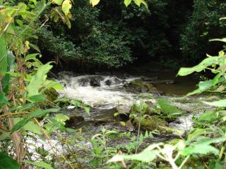 Koi Koi, Fort Portal - 1