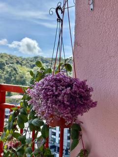 Yunis Cottage - 2
