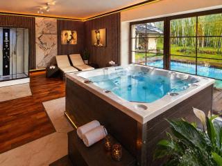 Argentum Private Residence Basen Sauna Jacuzzi - 9