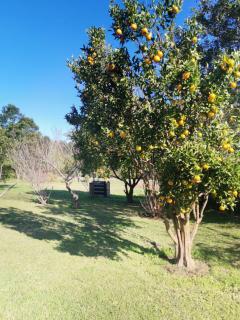 Storms River Family Accommodation - 2