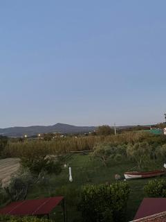 Casa vacanze Rosa Bianca a Vada - 8