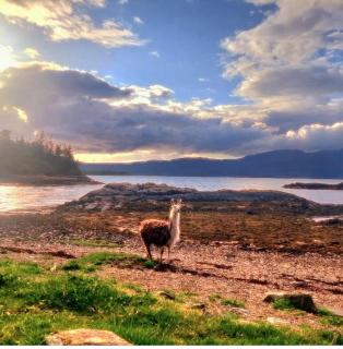 Shore cottage, Craig Highland Farm - 2