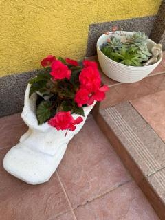 Apartmani Grguric - 6