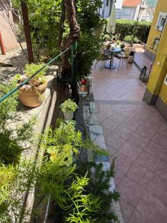 Apartmani Grguric - 4