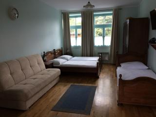 Parma Guesthouse & Apartments in Maribor - Maribor - 3