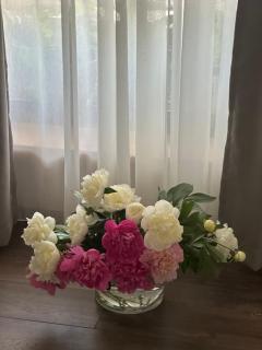 La casa di Elena - 3