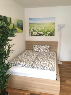 Apartment Flowerside - Ratisbona - 4