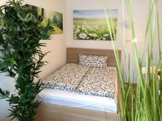 Apartment Flowerside - Ratisbona - 6