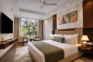 IVA Premium Delhi Airport - FREE Airport Drop - 9
