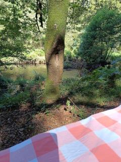Logement ouvert sur la nature - 2