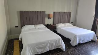 Hotel Patrimonial by Greenfield - 8