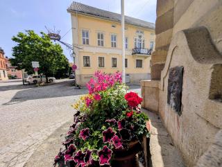 Serviced Rooms ''Krone'' - 6