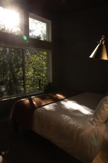 Cozy Luxury Cabin w Hot Tub, Fire Pit, King Bed - 2
