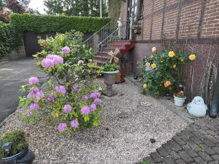 Ferienwohnung Salut - 9