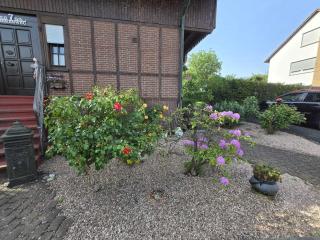 Ferienwohnung Salut - 8