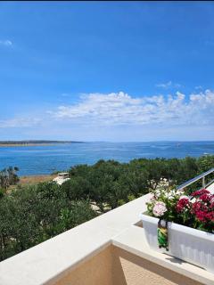 Guesthouse Maro - 1